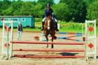 Biete Reitbeteiligung auf Sportpony in stade/21682