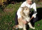 Nur das Beste für Hunde und Katzen - artgerechte natürliche und gesunde Tiernah