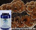 Coriolus Heil Vitalpilze Multinova