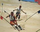 Skifahren im Sommer - Sport Spaß im Amberg Sulzbacher Land