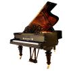 Suche KLAVIER o. FLÜGEL