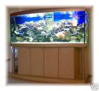 Meerwassertraum NP ca. 12500Euro