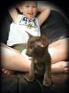 Reinrassige Siam und Oriental Kitten mit Stammbaum