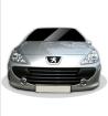 Gewinnen Sie einen Peugeot 307 2. 0/140 Platinum Gebrauchtwagen in silbermetallic