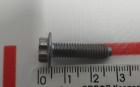 Schraube TRX FLG M6-1. 0X23 8. 8 -MP Tesla Modell 3 1100020-00-A