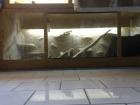 Terrarium in XXL B1 80 H0. 70 T 0 69