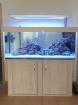 Hochwertiges Meerwasser-Aquarium kurzer Lz. aus beruflichen Gründen abzugeben