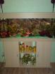 Verk. AQ 240l mit unterschr. zubeh. und Besatz Barsche Welse