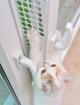 Kippfensterschutz Fensterschutzgitter Katzenschutzgitter OHNE bohren und kleb