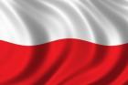 Deutsch Polnisch Übersetzungen online