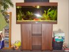 180l Aquarium mit Unterschrank Fische und Pflanzen