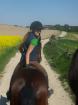 Suche REITBETEILIGUNG Englischer reistil