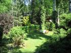 Verkaufe Waldgrundstück in Bucha bei Leipzig