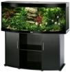 480L Aquarium v. Juwel Modell Vision inkl. Unterschrank u. Zub.