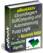 Grundlagen SoftComputing Fuzzy Logik Neuronale Netze