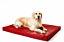 Antiallergische Hundebetten Hundematten