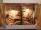 2 Geckos Terrarium komplette Ausstattun und Zubehör