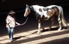 Pferde. 24-hs. de Stuttgart biete RB oder Unterricht Reiten und Pferdekommunikat