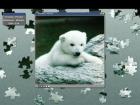 PUZZLE-CD mit über 100 Motiven zu VERSCHENKEN