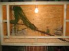 Holzterrarium 100x50x50 60 Euro