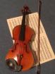 Qualifizierter Violinunterricht in Bamberg