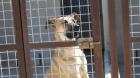 Mali hat eine Chance verdient