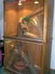 Großes Hoch- Terrarium aus Holz abzugeben