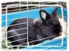 Petterson sucht Kuschelplatz auf Lebzeit o