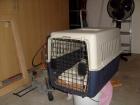 Katzentransportbox mittelgroß