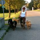 Tierpension für Hund Katze Maus u. a.
