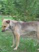 Nina sucht Kuschelkorbchen