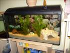 Aquarium mit viel Zubehör TOP wegen Hobbyaufgabe