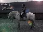 Suche Reitbeteiligung in Wesel Hamminkeln Flüren und Umgebung