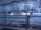 Futteriere Mäuse Ratten Vielzitzen und Meerschweinchen