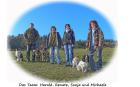 Rund um den Hund Team - Hundeschule Hundepflege Mobiler Hundeservice