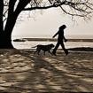 Hundeschule Bleib Hund Verhaltensberatung