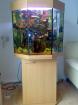 Achteck Aquarium komplett