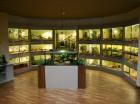 Terraristik neu erleben bei Zoo Co. in Siegen