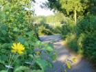 Grundstücke bis 200m2 Camping/Niederlande