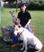 Hund und Frauchen sind verzweifelt