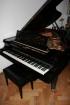 Flügel C. Bechstein B203 zu verkaufen.