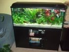240 L Aquarium Waterhome kompl. abzugeben