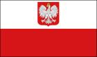 POLNISCH ÜBERSETZER/DOLMETSCHER professionell und zuverlässig