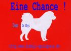 Do Khyi eine Chance