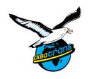 UMZUG ÜBERSIDLUNG ENTRÜMPELUNG AKTION ÖSTERREICH-WIEN www. albatrans. at