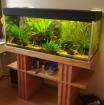 Komplett-Aquarium mit viel Zubehör 300 Liter