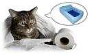 Weltneuheit Die erste Katzentoilette mit automatischer Wasserspülung