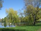 2 Zi. -Whg. am Schäfersee in Berlin/Reinickendorf