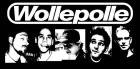 SkaPunk Combo in HH sucht Posaune