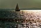 Fischland-Darss-Zingst an der Ostsee